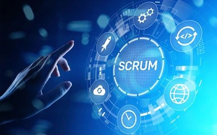 BSMC vs. PSLE: Business Scrum Mastery or Professional Scrum Leadership Expert?
